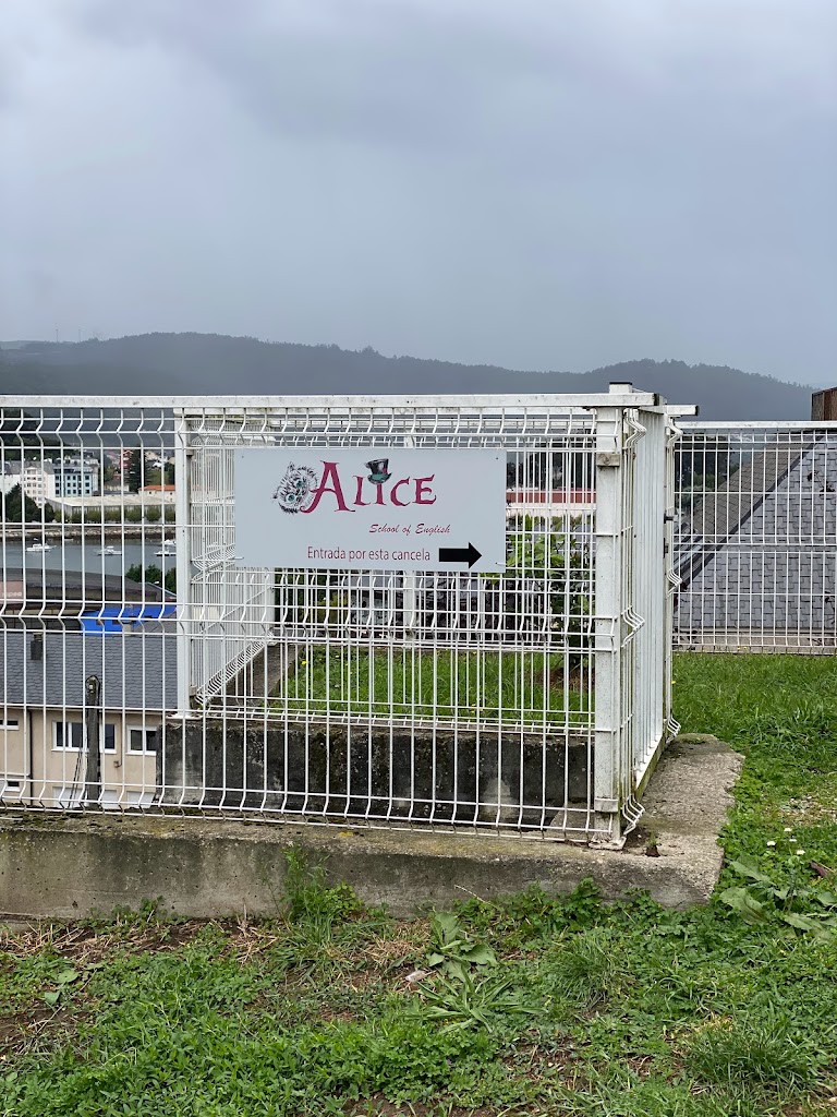 Alice School of English