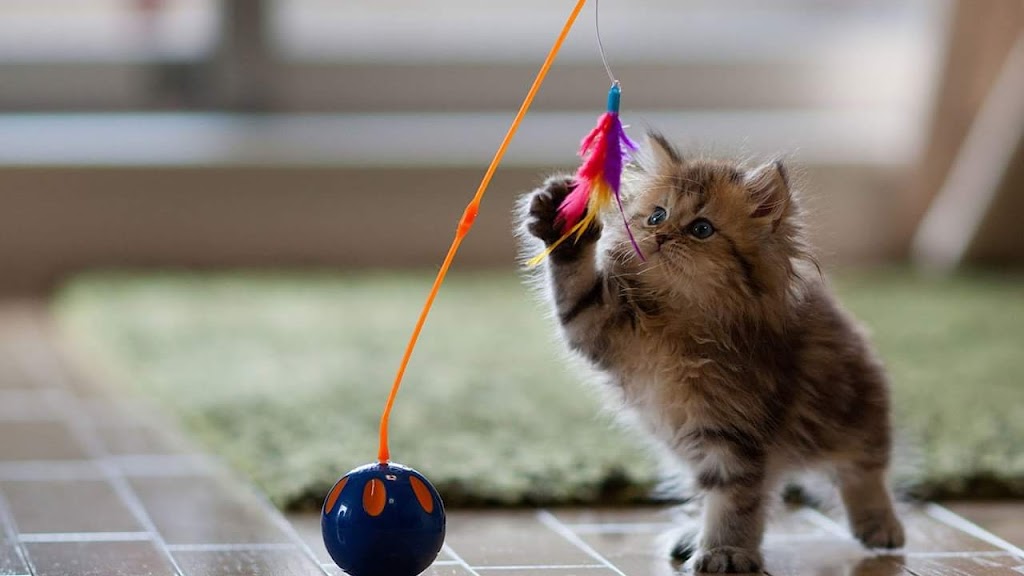 Shine Beauty Parlour And Tatoo Shop Tirunelveli And Training Center Best Bridal Makeup Artist