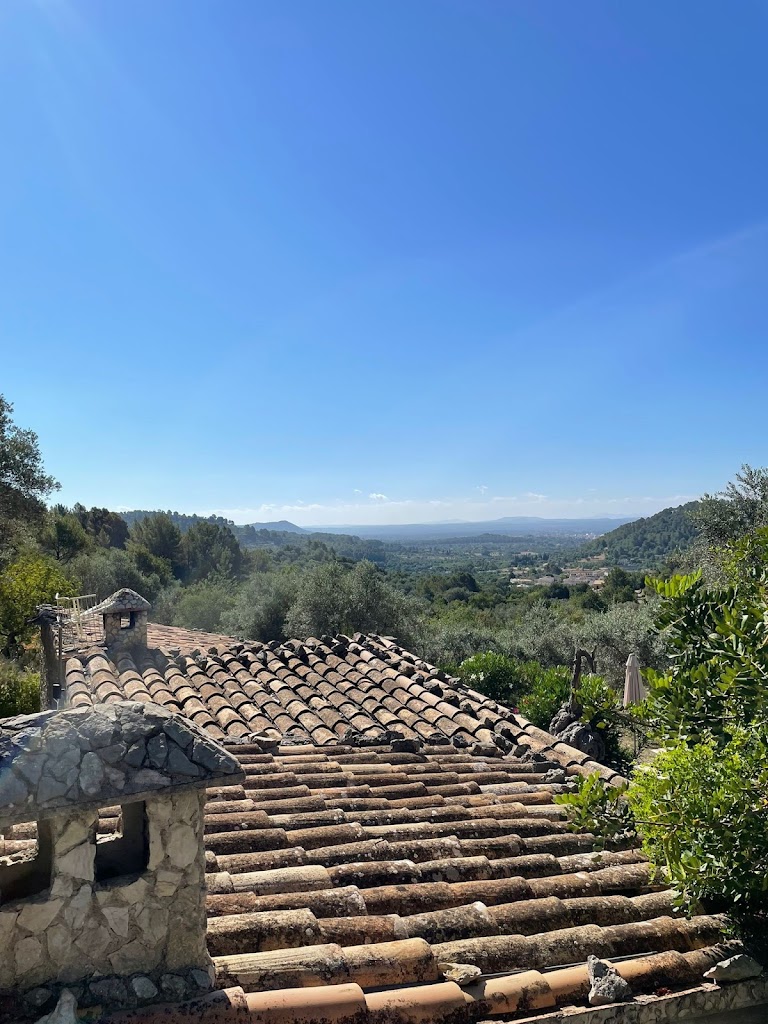 Villa Mancor pool and views