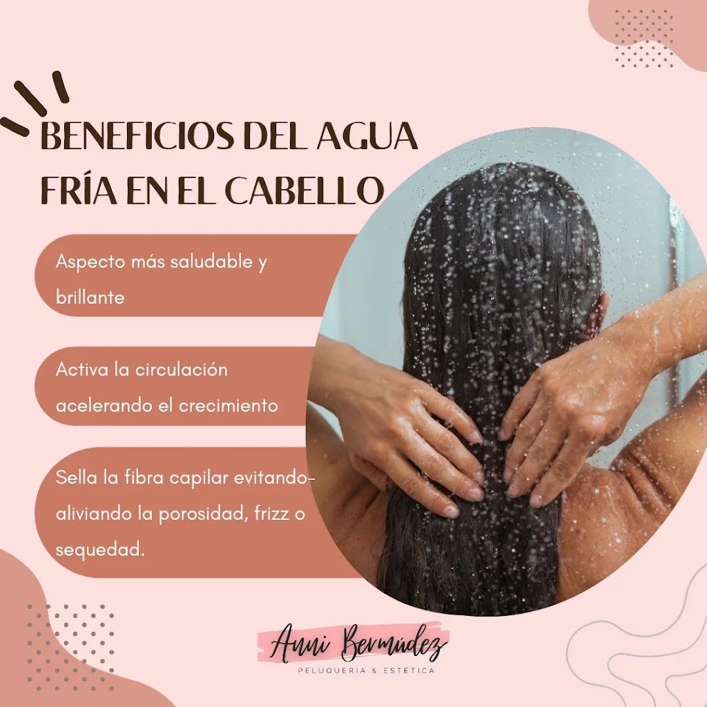Anni Bermudez Centro De Belleza — Peinado