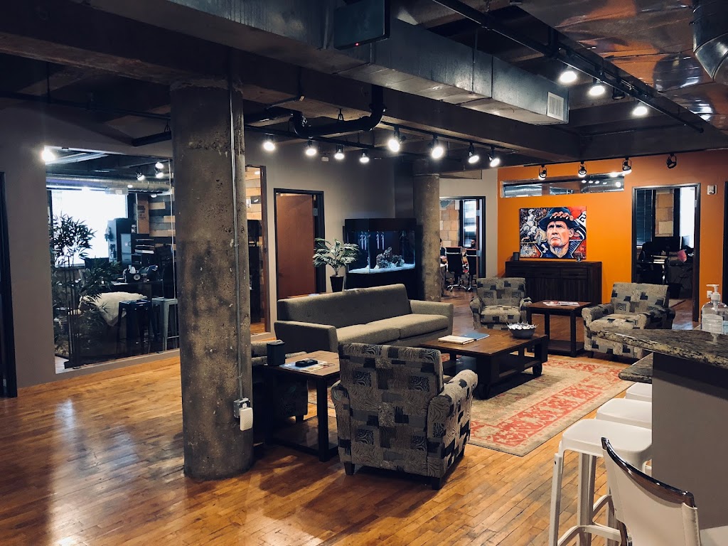 Dallas Seo Dogs