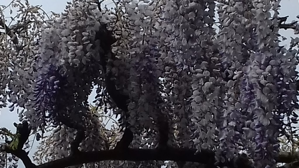 Parque do Carballido