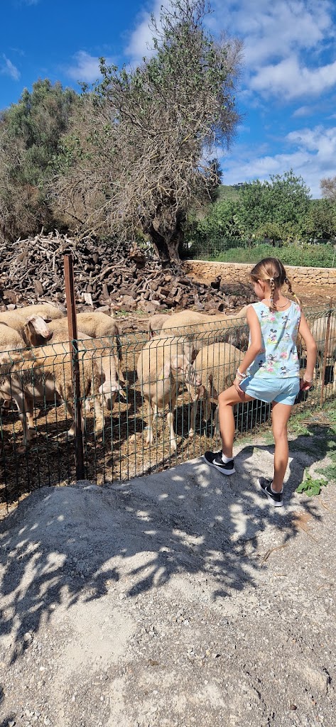 Sa Granja de Ca'n Malacosta