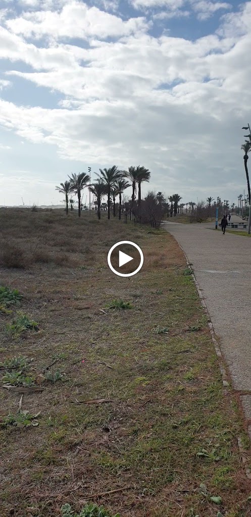 Sendero azul parque litoral castellon — Videos