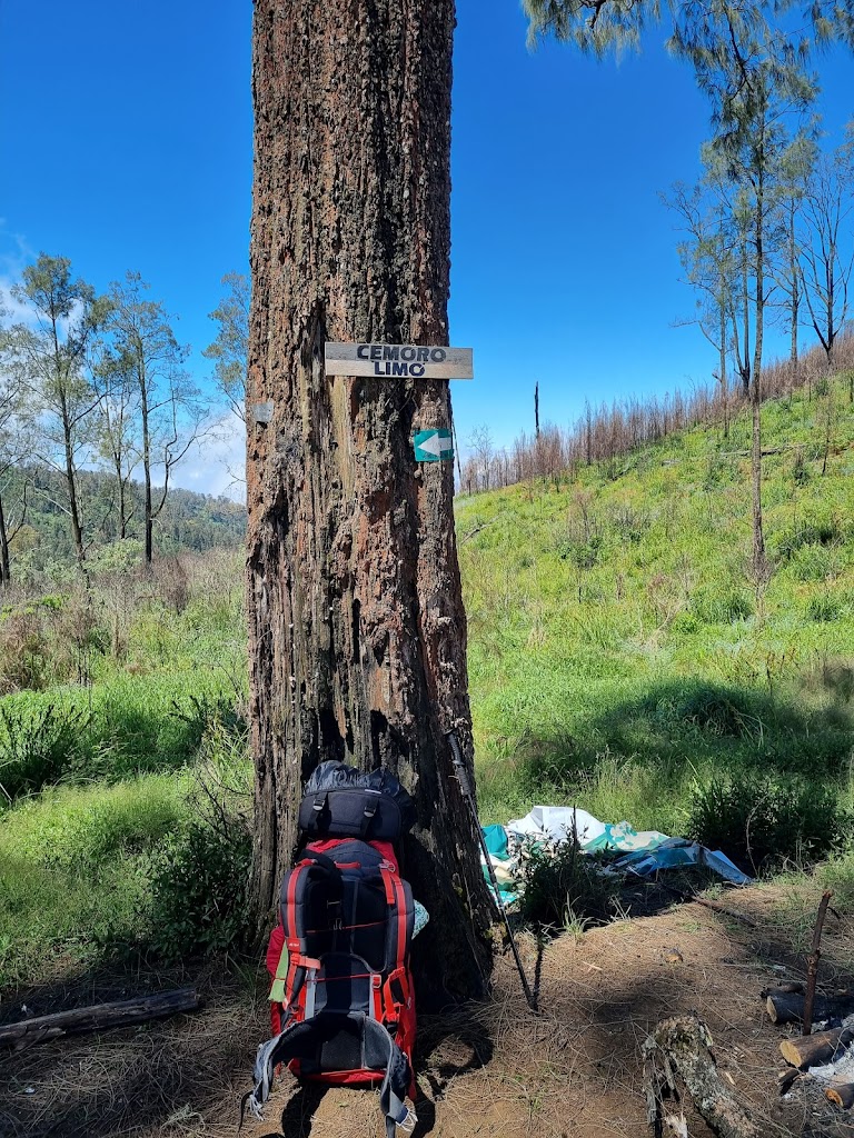 Cemoro limo, dataran tinggi yang