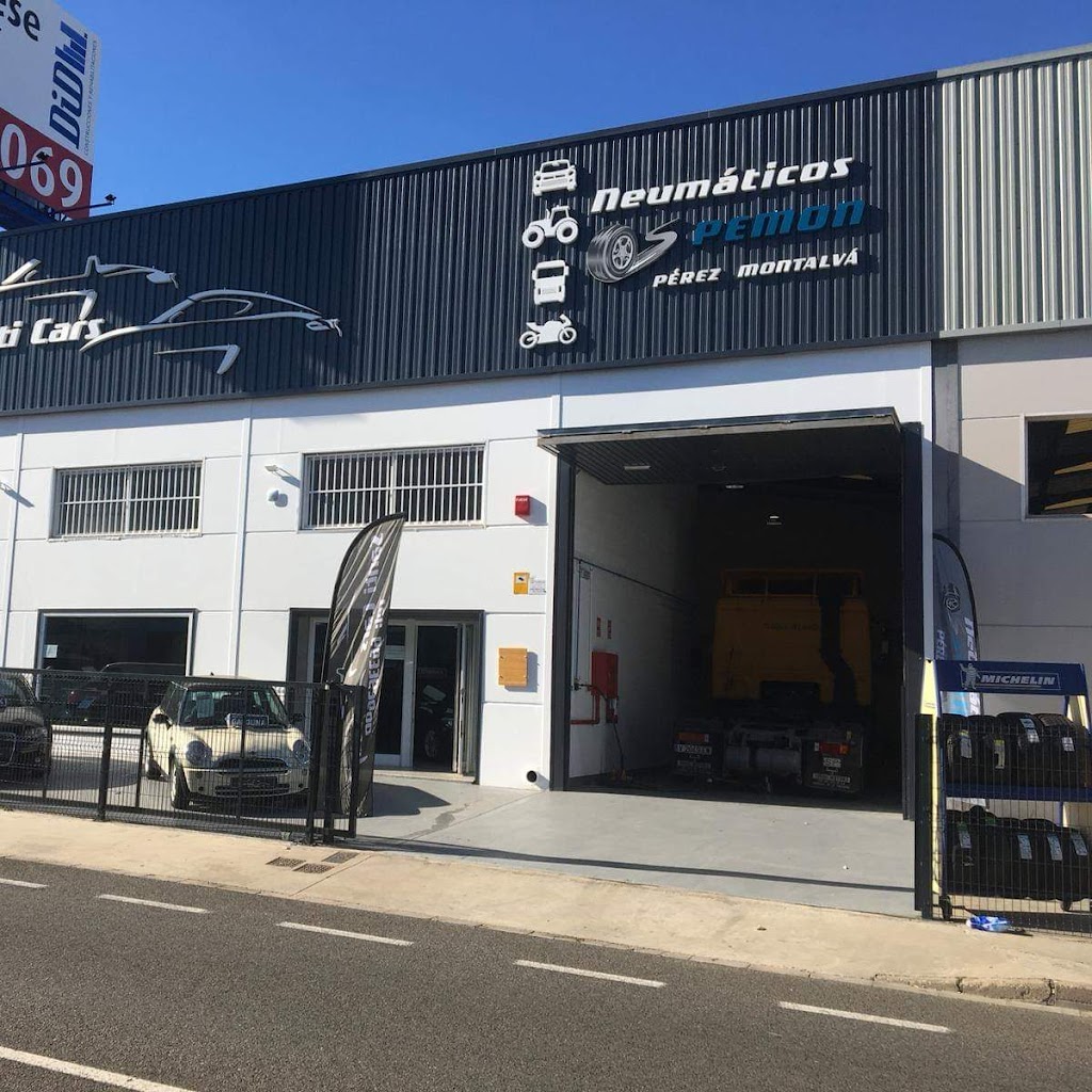 Neumaticos PEMON