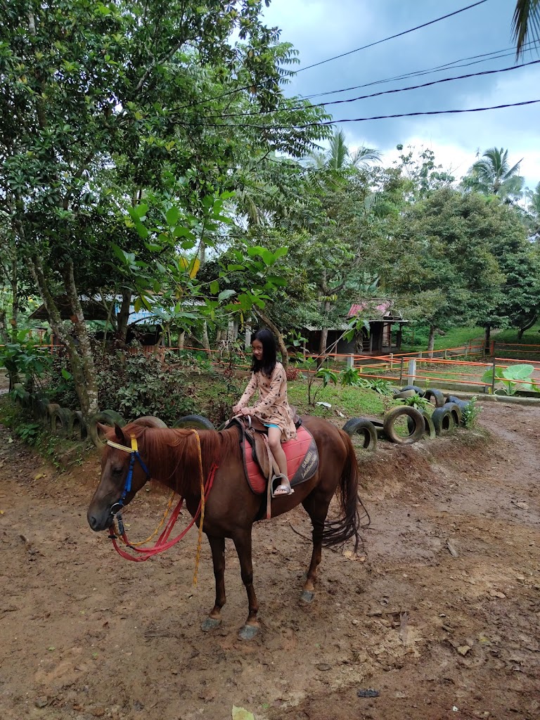 Lembah Durian Farm Stable