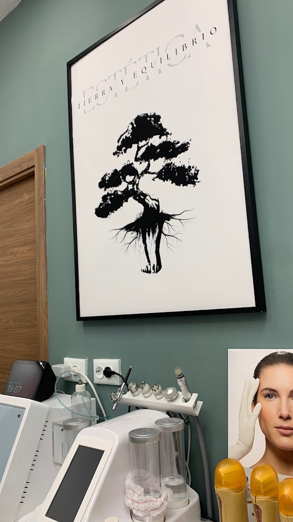 Estetica Tierra y Equilibrio