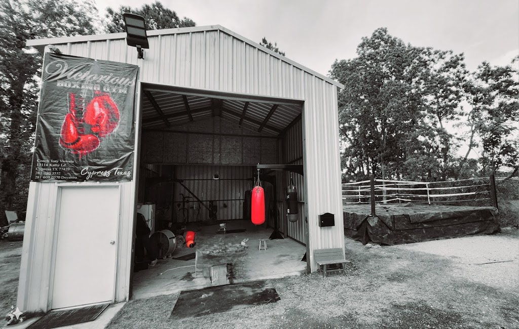  Victoriou's boxing Gym