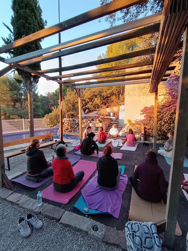 Ananda Yoga & Bienestar