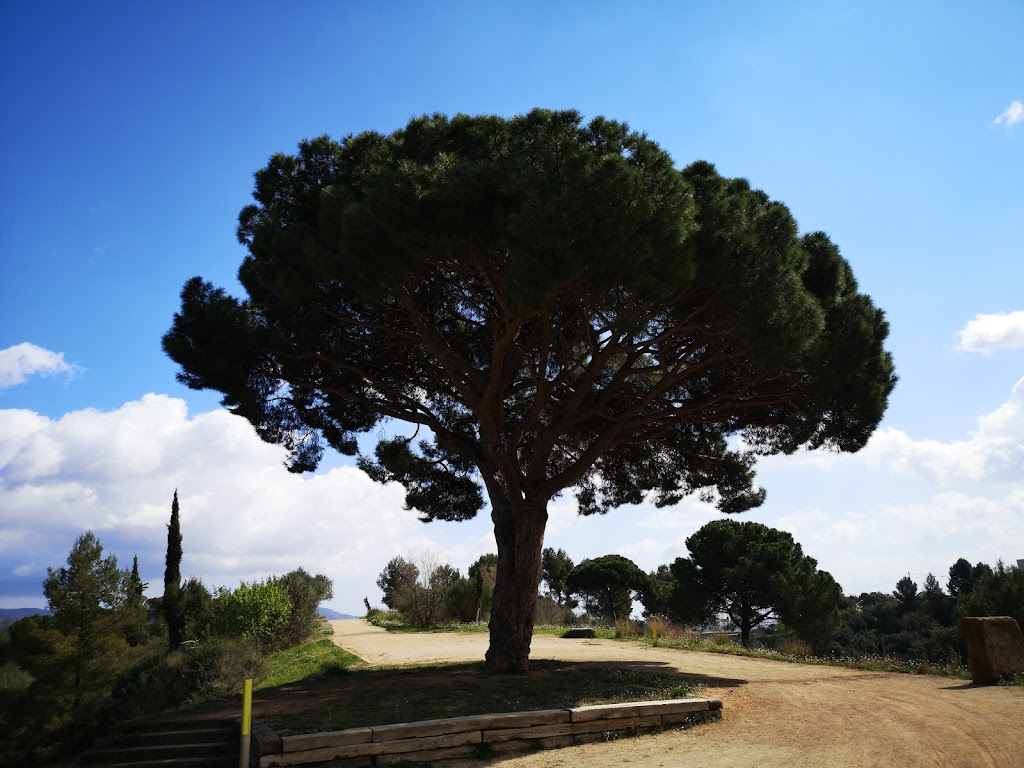 Parque del Pi Gros
