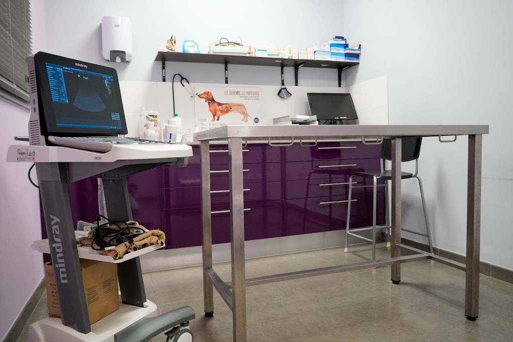 Clinica Veterinaria La Safor