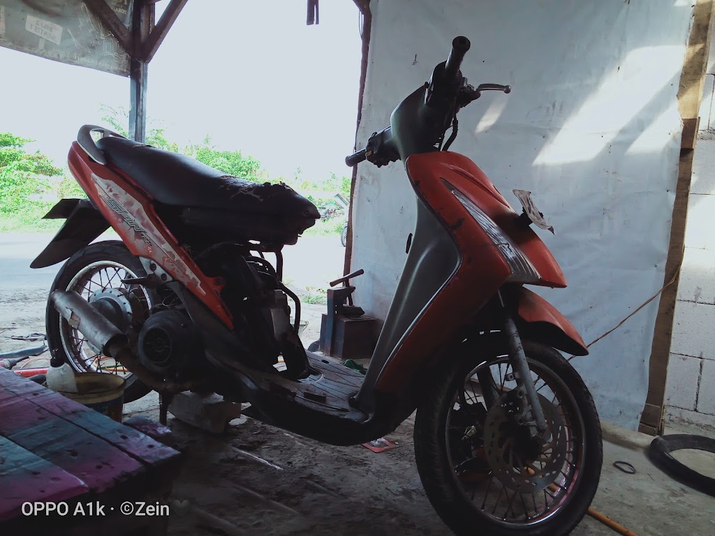Zein motor