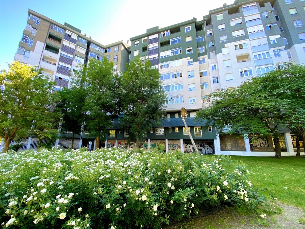 Cafeteria "Mikeldi" — Jardin
