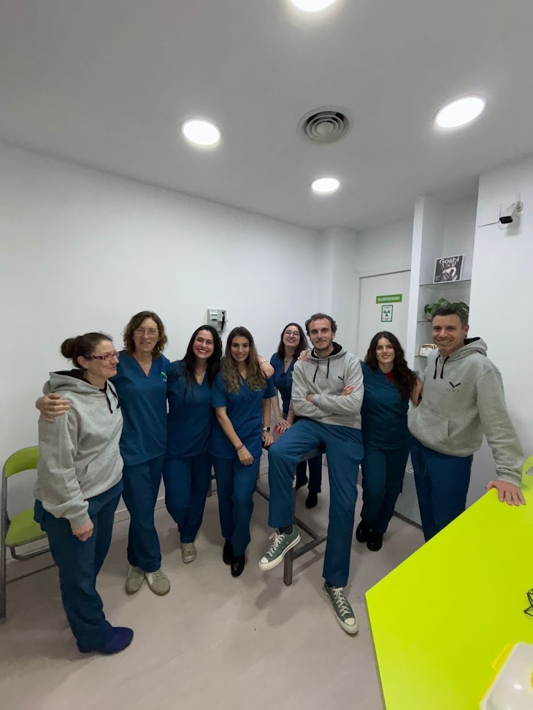 IVET CLINICA VETERINARIA LAS ROZAS