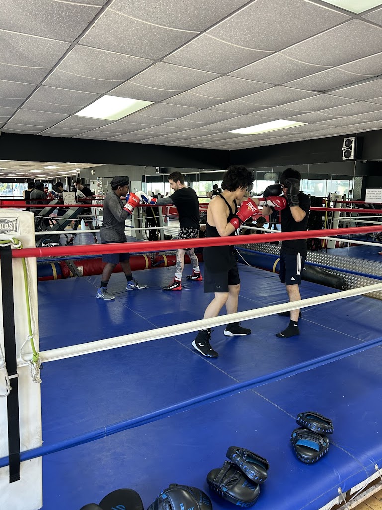  Boxing on the Boulevard