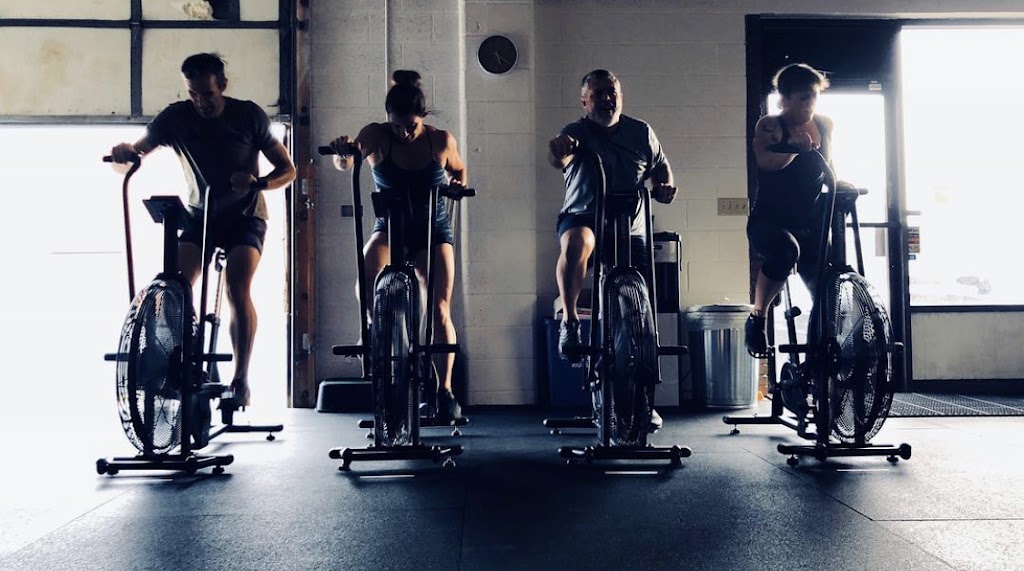  STOUT Strength and Conditioning