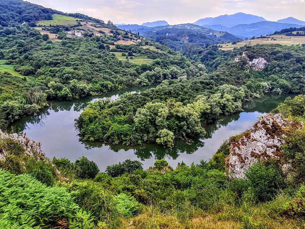Meandros del Nora