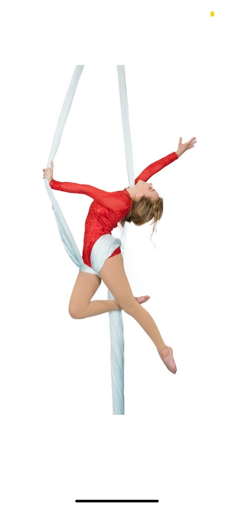  Cloud Nine Aerial Arts