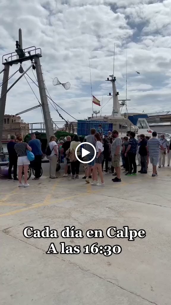 Aparcamiento Publico — Videos