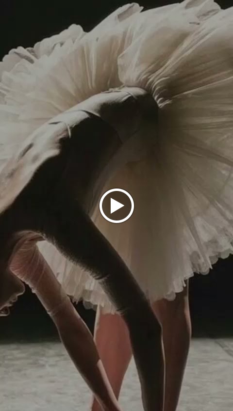 Centro de Danza Teresa Tessier — Del propietario