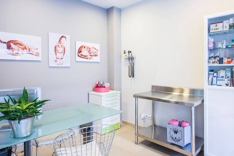 Centro Veterinario Iteca — Del propietario