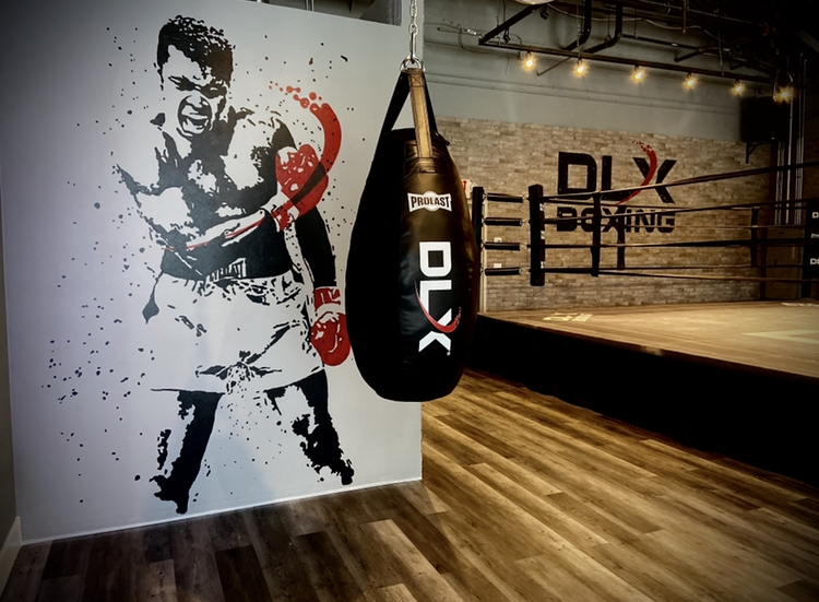  DLX Boxing