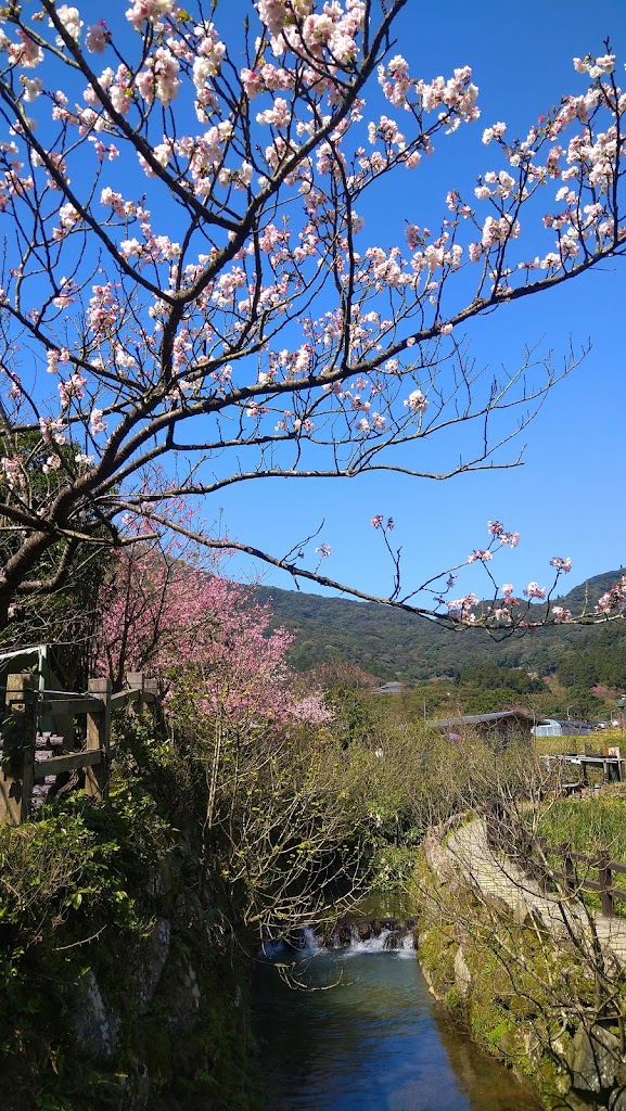 木珍園 的照片