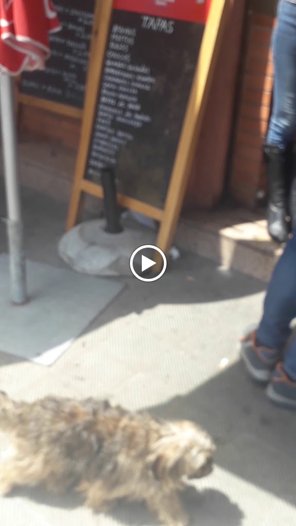 Bar La Rosada — Videos