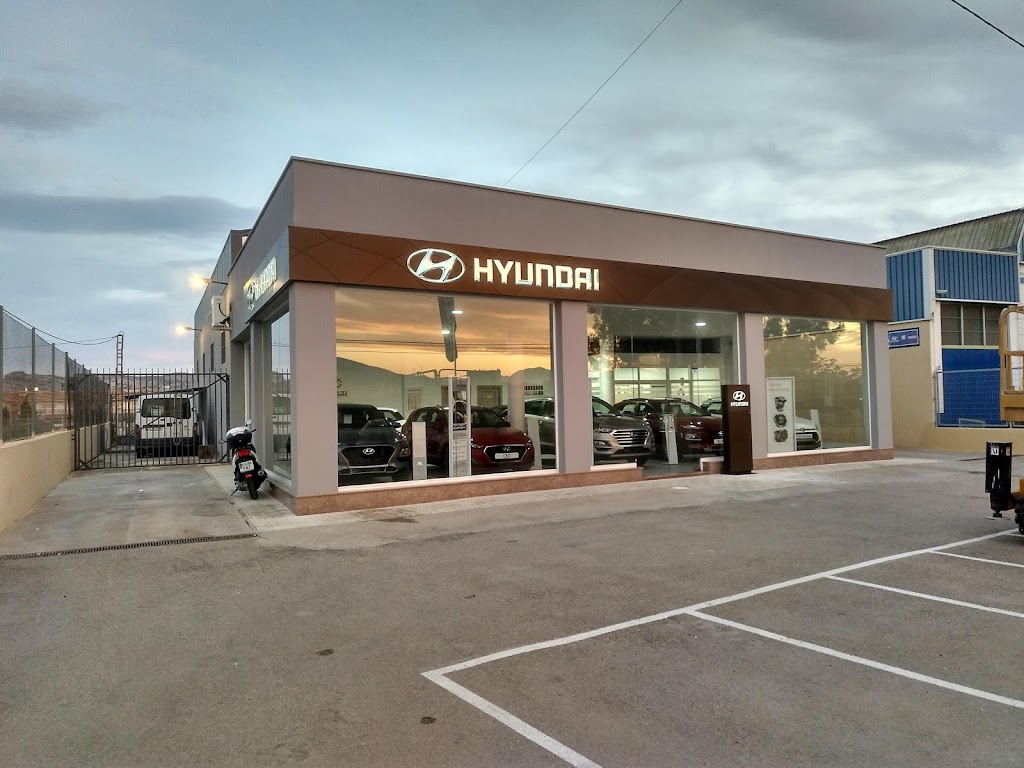 HYUNDAI Jose Robles Lopez E Hijos