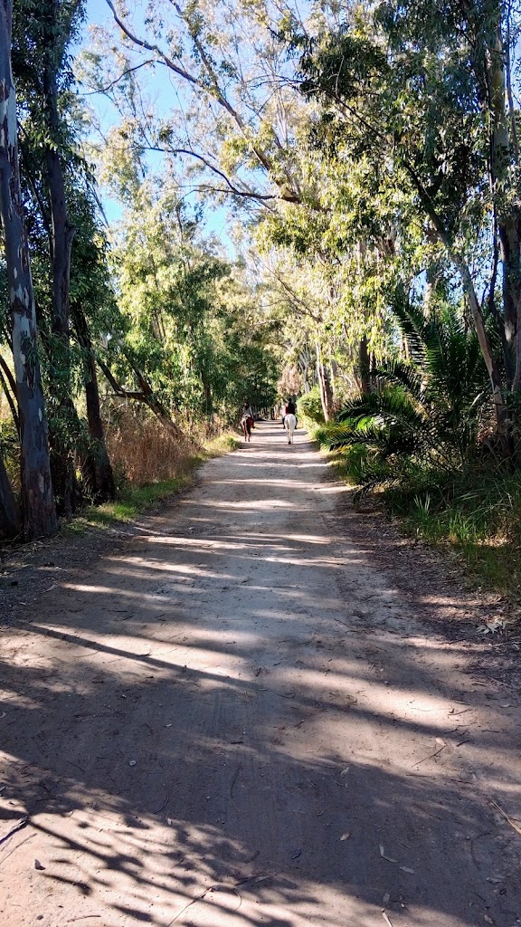 Camino al Marjal dels Borrons
