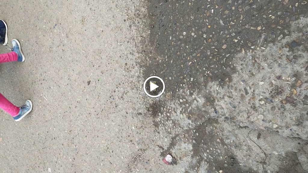 Videos