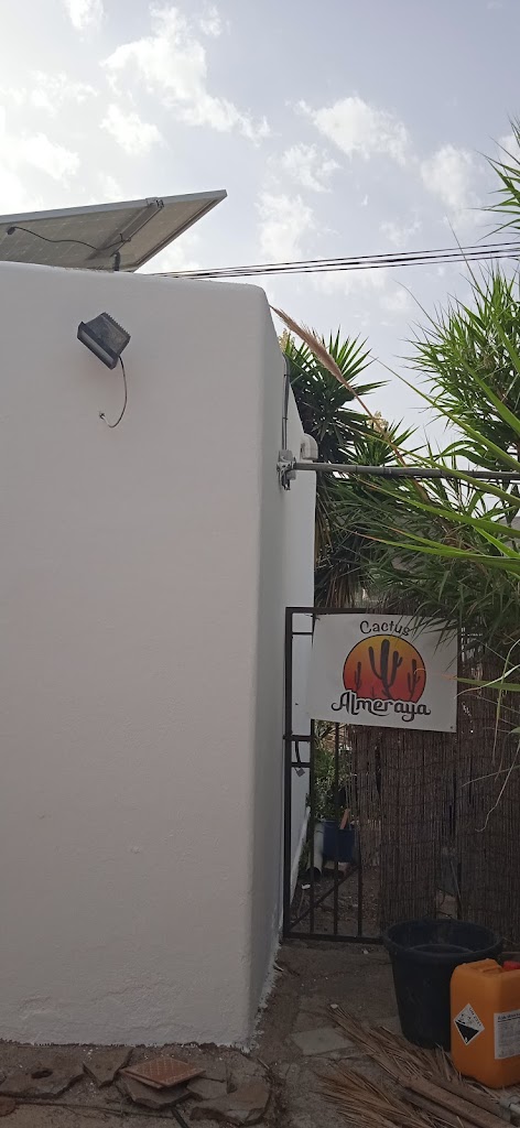 Vivero de Cactus y Suculentas Online - Envio GRATIS Espana - Cactus Almeraya