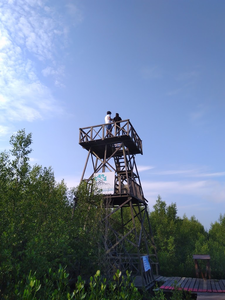 Borneo Access Adventurer