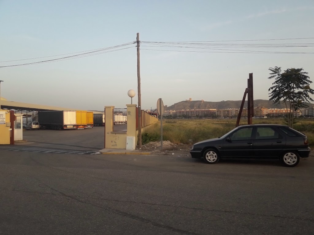 Corporacion Transportista De Jumilla S C L