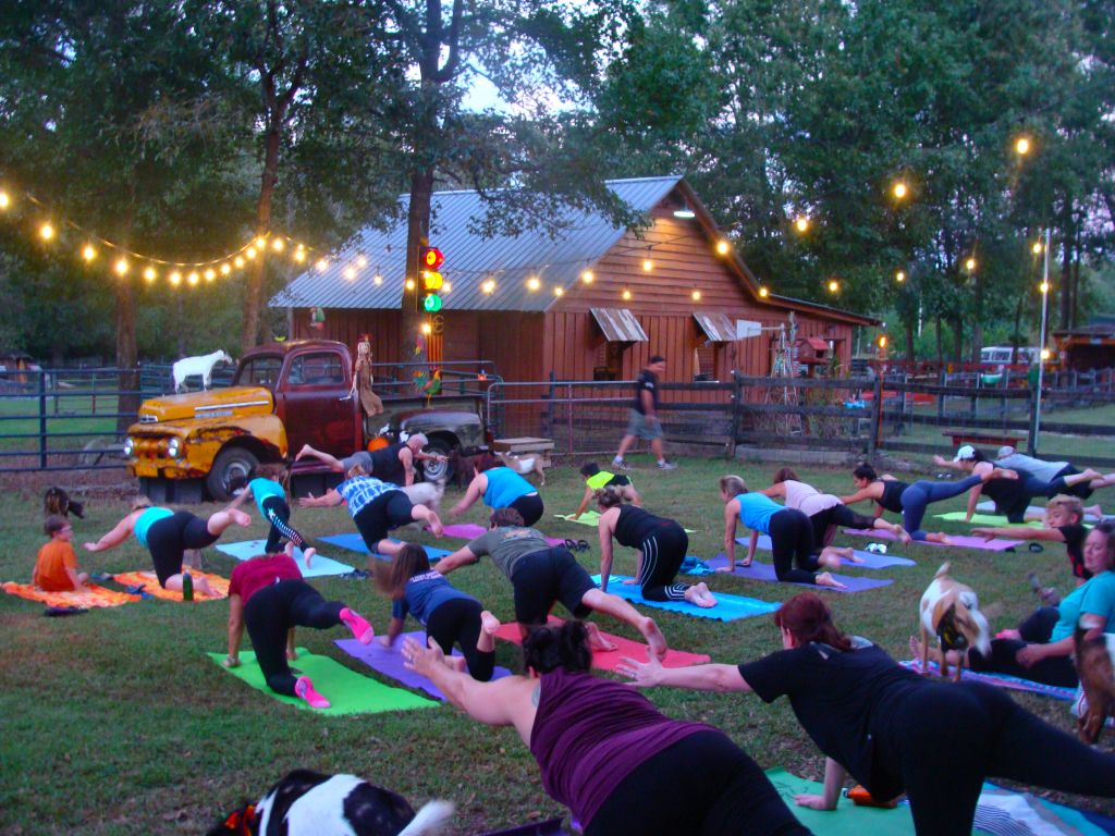  Goat Yoga Georgia