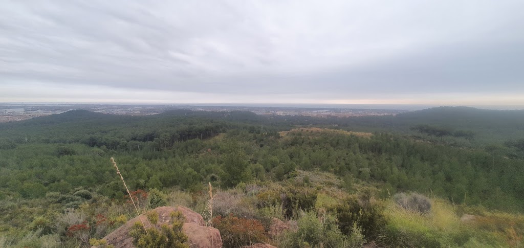 Cerro Can Espinos