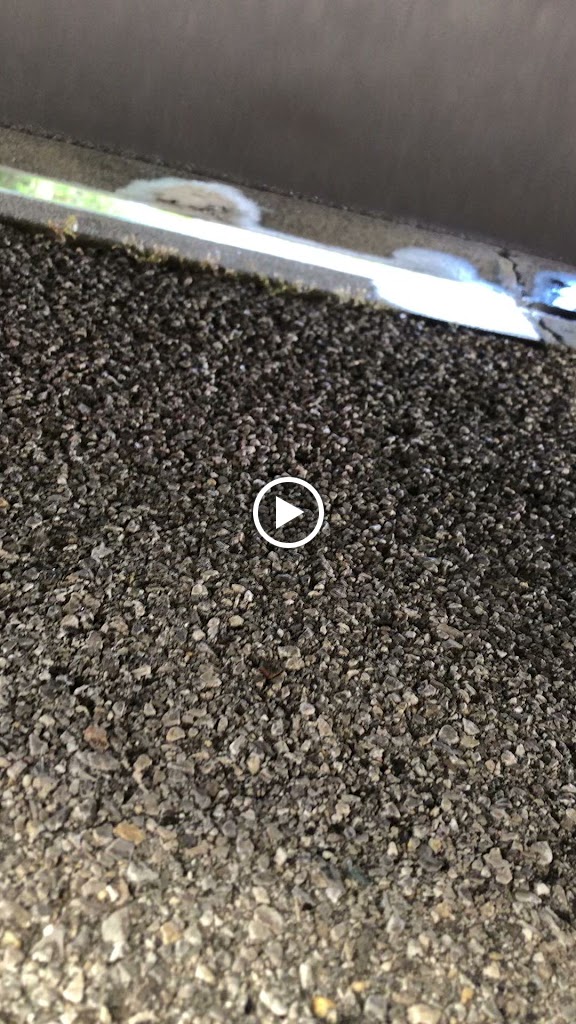 Norauto Barcelona Esplugues — Videos