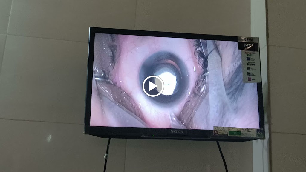 Videos