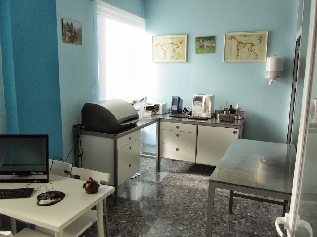 Centro Veterinario Barbate — Del propietario