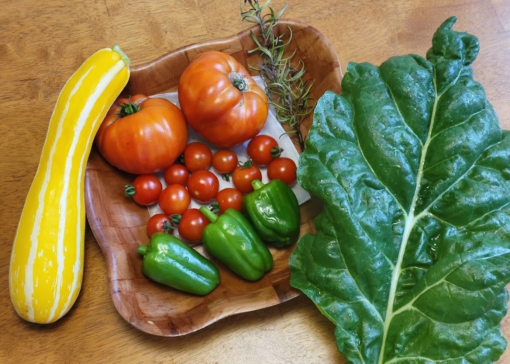 Nutritionist in Longmeadow