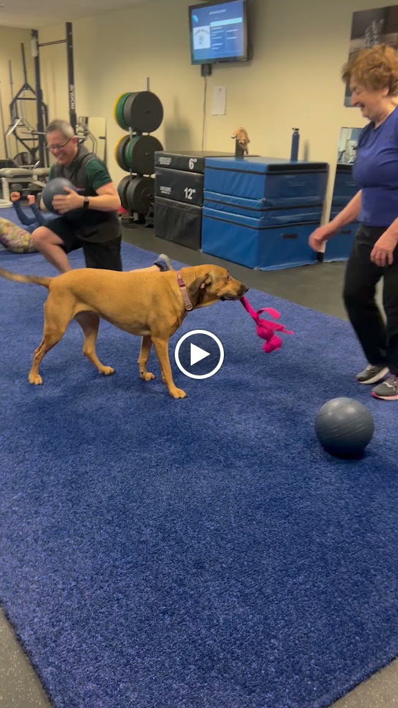  High Function Fitness