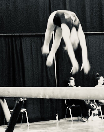  Michael's Legacy Gymnastics Academy