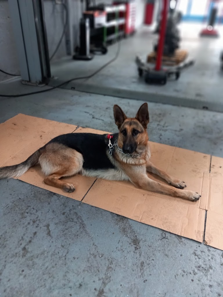 Taller Mecanico Juan Jose