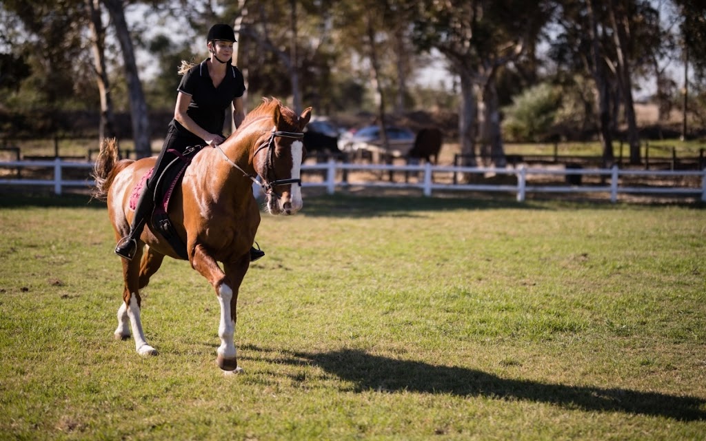 Centro Hipico Los Porches