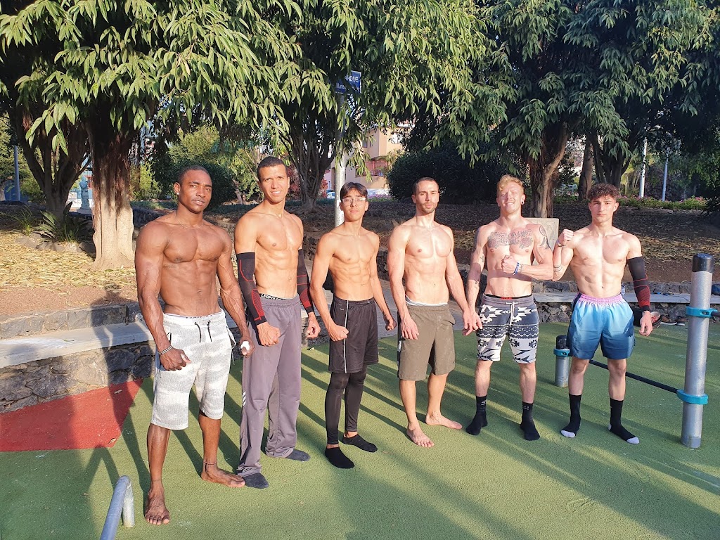 Street Workout Los Realejos