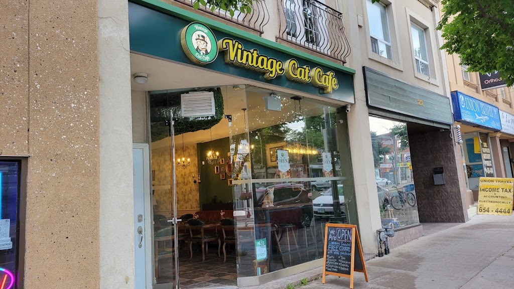 Photo of Vintage Cat Cafe Toronto