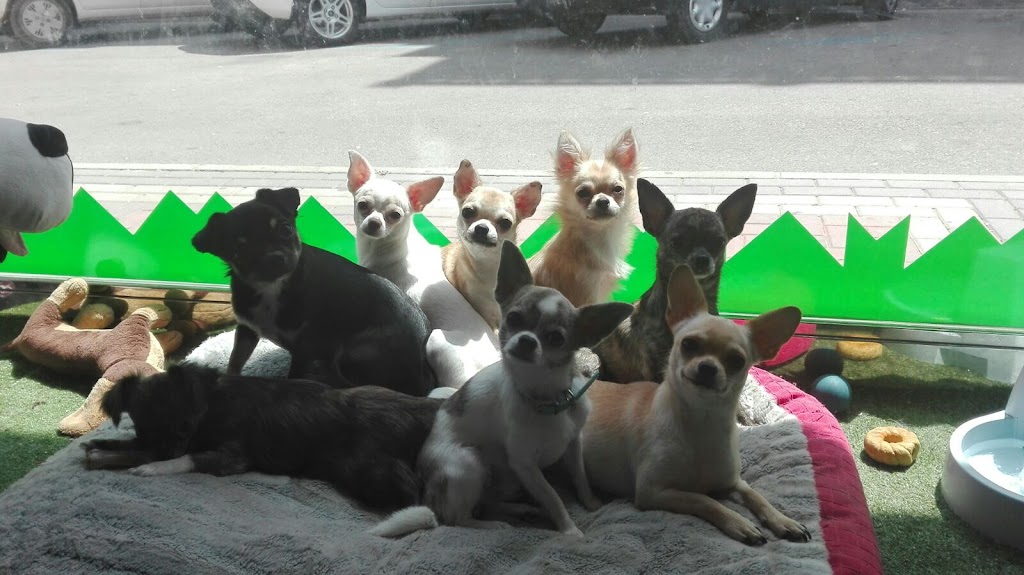 Centro Veterinario Aguilas