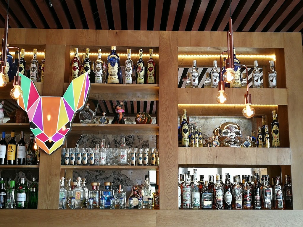 Chihuahua Tacos y Tragos La Moraleja