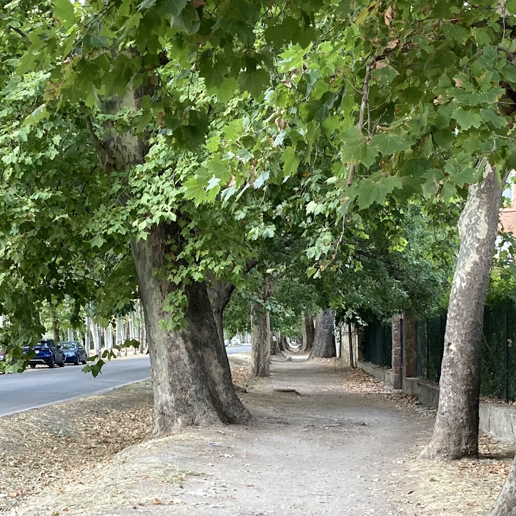 Camino Natural del Tajo